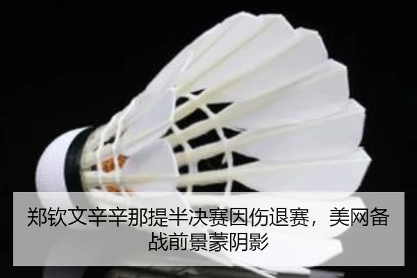 zheng-qin-wen-xin-xin-na-ti-ban-jue-sai-yin-shang-tui-sai-mei-wang-bei-zhan-qian-jing-meng-yin-ying-2-268.jpg