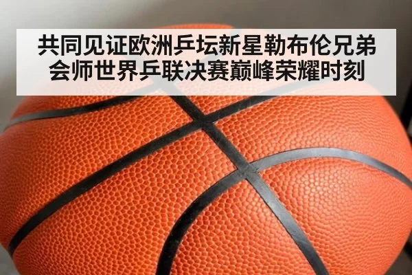 共同见证欧洲乒坛新星勒布伦兄弟会师世界乒联决赛巅峰荣耀时刻