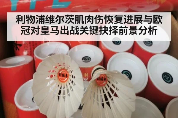 利物浦维尔茨肌肉伤恢复进展与欧冠对皇马出战关键抉择前景分析